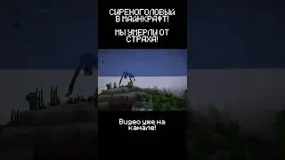 МЫ У
