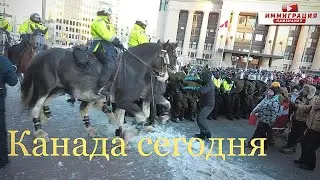 🆘 В Канаде разгоняют протесты! Конная полиция, Снайперы, Слезоточивый газ, Спецназ сегодня в Оттаве