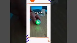 Smart Cat Toys Balls #cat #cats #toys