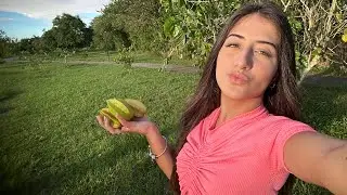 Vlog pegando fruta no condomínio