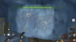 All 5 Fossil Pictures Locations In Genshin Impact
