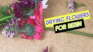 HOW TO DRY YOUR OWN FLOWERS FOR RESIN PROJECTS