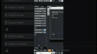 Track Inspector Settings Dialog | Cubase pro tips