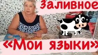 ЗАЛИВНОЕ ИЗ ЯЗЫКА | ПРАВИЛЬНЫЙ РЕЦЕПТ 2020