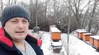 Зимовка 2020-2021. Спасаем Пчёл.Слабая Пчела.Ложим Канди в Декабре.