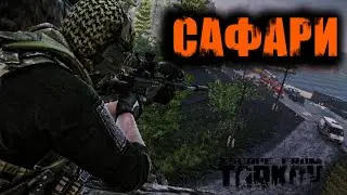 САФАРИ + СТРАННЫЕ РЕЙДЫ | Escape from Tarkov | В_КОМНАТЕ