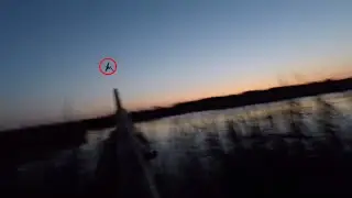 Никогда не делайте так НА ОХОТЕ... Охота на уток 2020 / MAX HUNTER