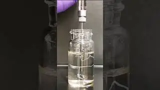 Self-Assembling Hydrogel Stops Brain Tumors in Mice