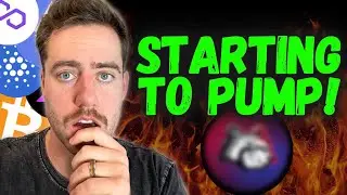GAMBLING CRYPTO YOU SHOULD BE PAYING ATTENTION TO NOW! (BFG Token)