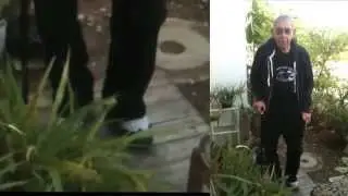 Steps