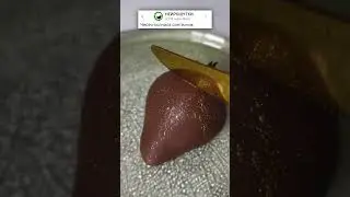 ЗУБ ЗА ЗУБ🤣 #приколы #юмор #анекдоты