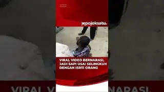 akibat selingkuh dengan istri orang menjadi seekor binatang 😱😲