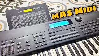 Mas Midi Switch How To Use..?
