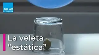 La VELETA 'estática' | Experimentos