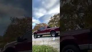 $800 obo 
