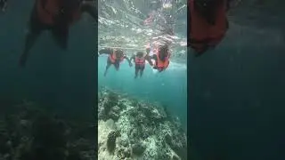 Deep Sea Snorkelling-2
