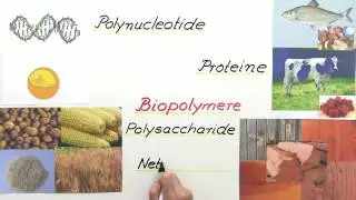 NATÜRLICHE BIOPOLYMERE | Chemie | Organische Verbindungen – Eigenschaften und Reaktionen