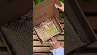 @paper.shoot — цифровая камера с эффектом пленки, классная идея для подарка!❤️‍🔥