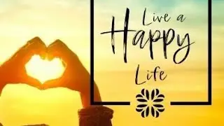 Creating Your Best Life: Tips & Insights