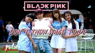 [KPOP IN PUBLIC] BLACKPINK 블랙핑크 - Don't Know What To Do | Pulse Dance Crew Australia (Dance Cover)