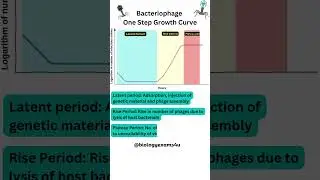 Bacteriophage One Step Growth Curve