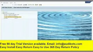 Auditbot SAP Tool for Elevated Access Similar to Virsa Firefighter