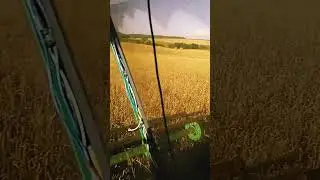 26 августа 2024 г.