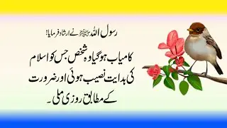 Rasool Akram (SAW) Ka Farman / Hazrat Ali ke aqwal e zareen / Best quotes about life / #islamic