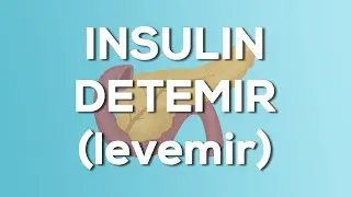 Insulin Detemir (Levemir) Nursing Drug Card (Simplified) - Pharmacology