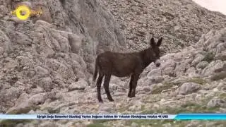 Eğrigöl Doğa Sistemleri Güzelbağ Yaylası Doğanın Kalbine Bir Yolculuk Gündoğmuş Antalya 4K UHD