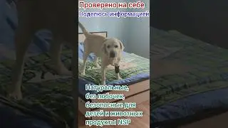 ☘️NSP☘️ для животных🐶😺