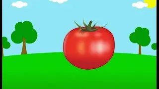 Učíme se mluvit : Zelenina / První slova