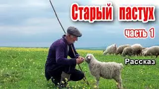🔴Очень интересный рассказ 2021 - Старый пастух, часть 1