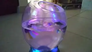 Aqua dabra