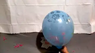 Animal printed balloon pop