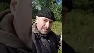 Где грибы? А нету!