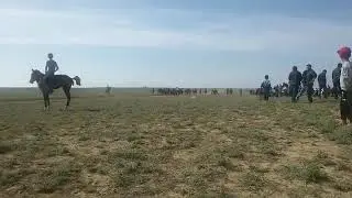 Телман Бәйге.Маңғыстау.