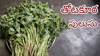 #ThotakooraPulusu