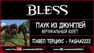 [Bless] Паук из Джунглей. Вертикальный взлёт.