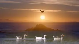 Birds Landscapes Moon Sunrise and Sunset | Instrumental Piano Music No copyright