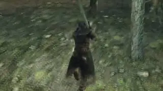 Why Are You Running? (Dark Souls II)
