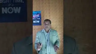 python success stories