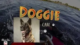 DoggieCAM, Strathclyde Country Park, Scotland