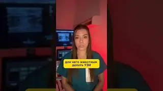Зачем животным УЗИ #лечениеживотных #ветеринар