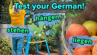 🇩🇪 Let's practice German! A1 - A2  | stehen | hängen | liegen