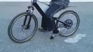 Electric Bike 1000W (Custom)
