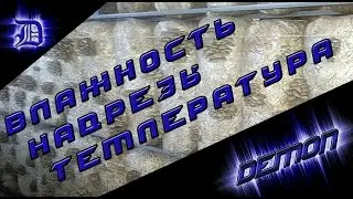 грибные блоки: влажность, надрезы, температура