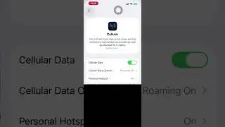 How To Turn Cellular Data Off On iOS 26.0.1