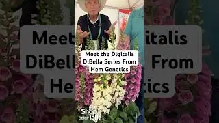 Meet the Digitalis DiBella Series From Hem Genetics - California Spring Trials 2025