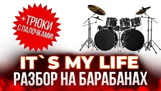Bon Jovi - It`s My Life (разбор с трюками)